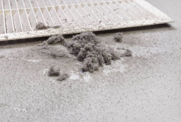 Best Professional Duct Cleaning Services  in Columbia, IL