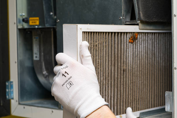 Best Air Duct Cleaning Company Near Me  in Columbia, IL